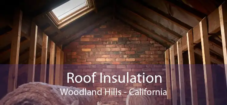 Roof Insulation Woodland Hills - California