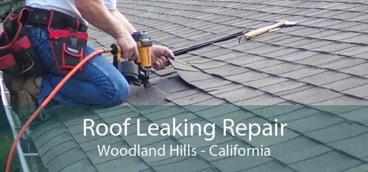 Roof Leaking Repair Woodland Hills - California